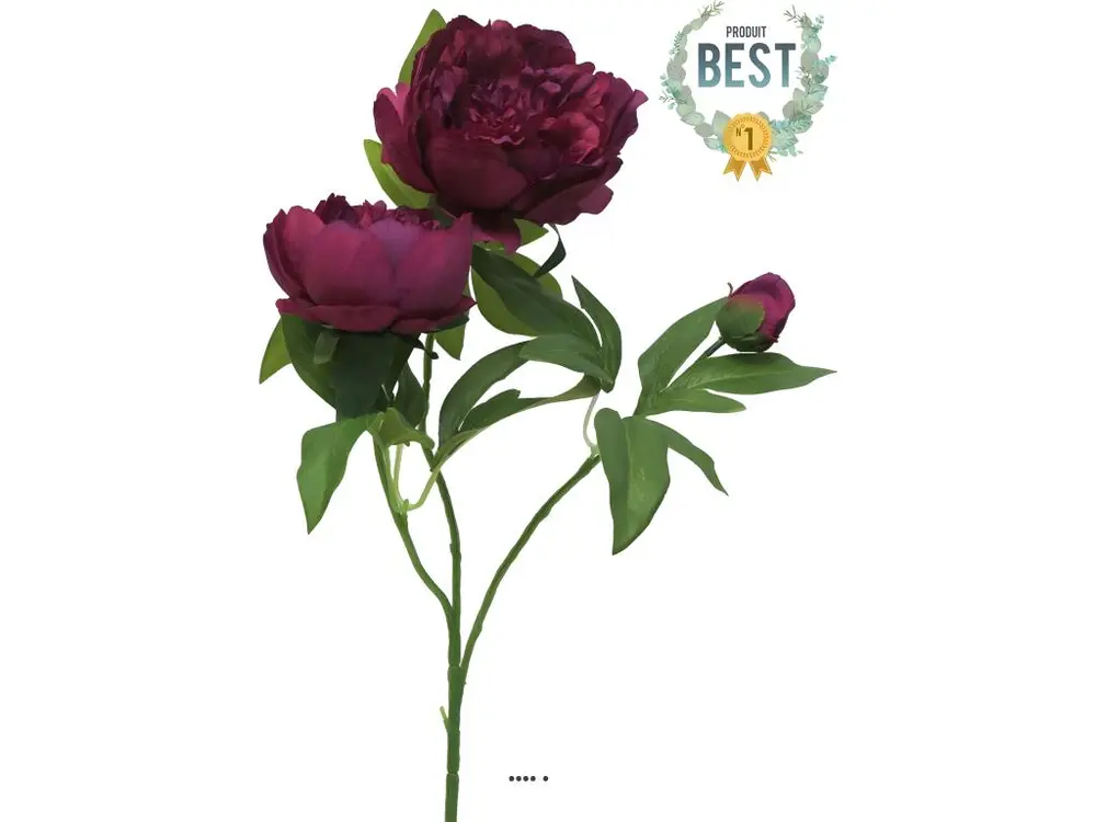 Pivoine artificielle ramifiée, 3 têtes, H 70 cm Pourpre - couleur: Pourpre - Compatible Universelle