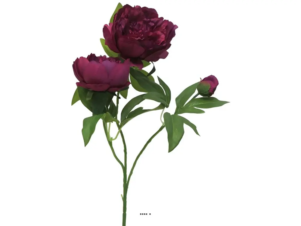 Pivoine artificielle ramifiée, 3 têtes, H 70 cm Pourpre - couleur: Pourpre - Compatible Universelle
