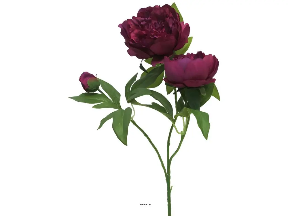 Pivoine artificielle ramifiée, 3 têtes, H 70 cm Pourpre - couleur: Pourpre - Compatible Universelle