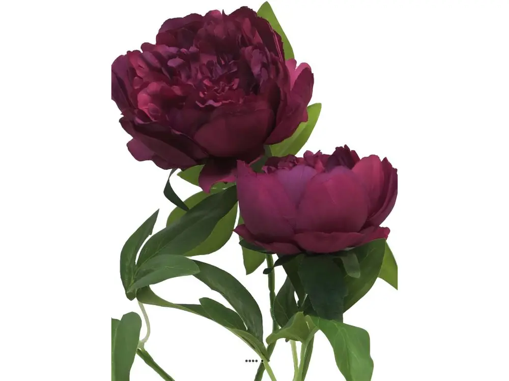 Pivoine artificielle ramifiée, 3 têtes, H 70 cm Pourpre - couleur: Pourpre - Compatible Universelle