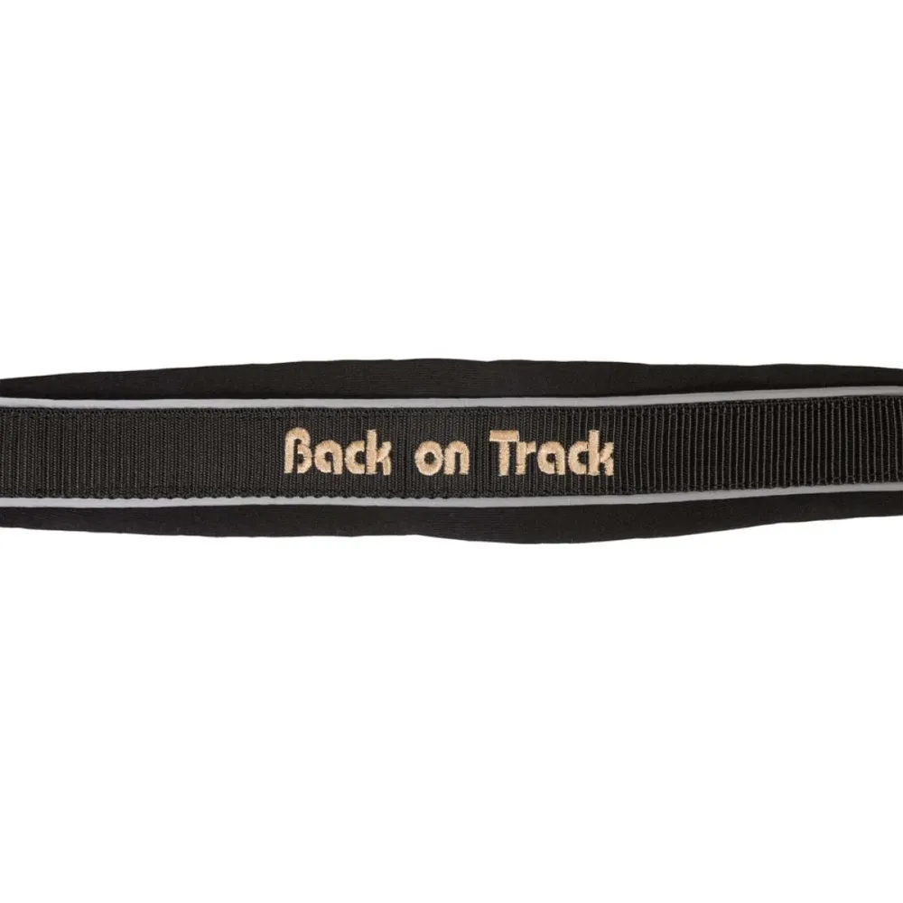 Back on Track Licol Werano Noir/Reflective Lot de 2 triangles