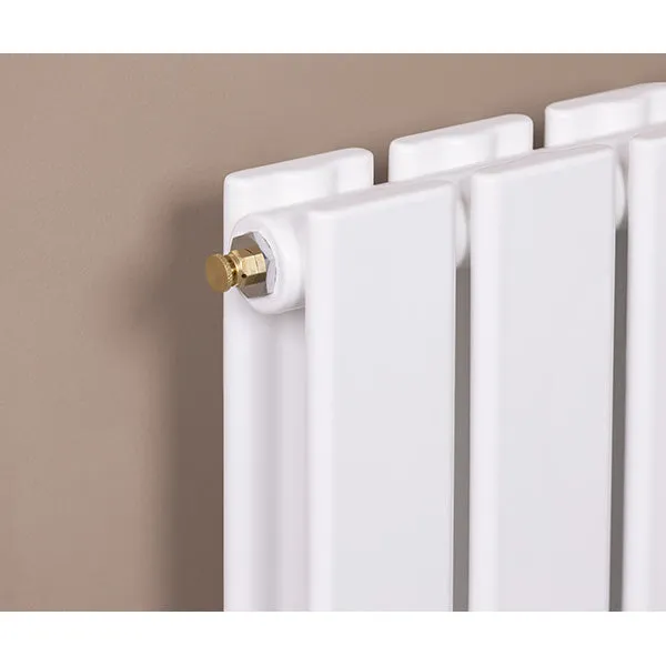 Purgeur air à volant pour radiateur Bouteille avec applicateur