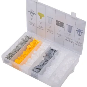 Assortiment de clips de fixation en acier SW Renault S8018 obtenir à bas prix