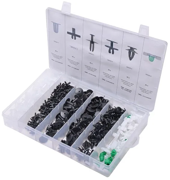 Assortiment de clips de fixation SW-Stahl BMW 290 pièces S8026 se procurer à bas prix