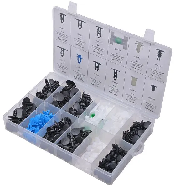 Assortiment de clips de fixation SW-Stahl Fiat 308 pièces S8021 acquérir à bas prix